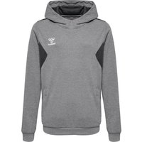 Sweatshirt com capuz em poliéster para criança Hummel Authentic