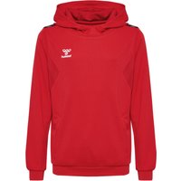 Sweatshirt com capuz em poliéster para criança Hummel Authentic