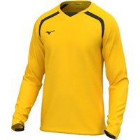 Maillot manches longues Mizuno Team