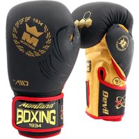 Gants de boxe Montana Devil Phoenix