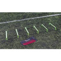 Leiter Precision Pinnacle
