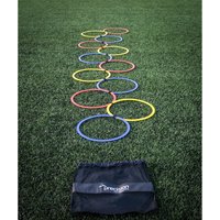Leiterreifen Precision Speed Agility (x12)
