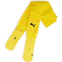 Football Socks Puma TeamFinal