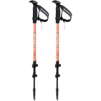 Bastone da trekking Guidetti Altitude (x2)
