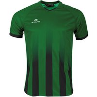 Trikot Stanno Vivid