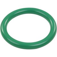 Anello da immersione TOGU