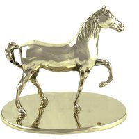 Messing trofee Umbria Equitazione