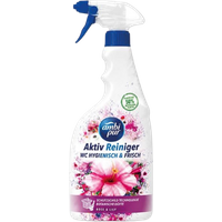 Ambi Pur WC Active Hygienic & Fresh Rose & Lily Toilet Cleaner Spray - 750 ml