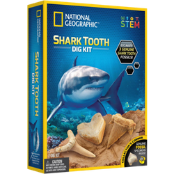 National Geographic Shark Tooth Dig Kit