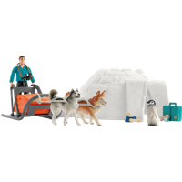 Schleich Wild Life Antarctic Expedition Figures & Accessories