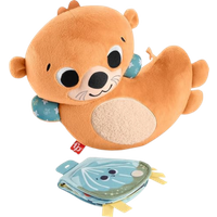 Fisher Price 2-in-1 Rocking Tummy Time Otter