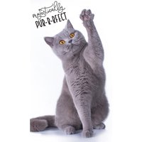 Ręcznik 30x50 Kot bengalski dziecięcy do przedszkola