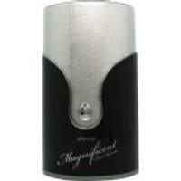 Armaf Magnificent Pour Homme Eau de Parfum 100ml Spray