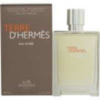 Hermès Terre d'Hermès Eau Givrée Eau de Parfum 100ml Spray