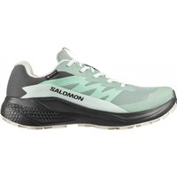 Salomon Alphaglide GTX, Laufschuhe, Damen, grün/grau