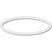 Sunsun Ersatzteil Für Schwimmbadpumpe O-Ring 1 Poolfilteranlage Filterpumpe