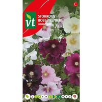 Stockrose 'Aubade' Samen Ca. 0,2 g Bunte Blüten