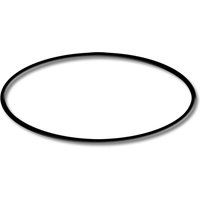 SunSun Ersatzteil für 550W Schwimmbadpumpe O-Ring 3 Poolfilteranlage Poolpumpe