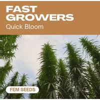 Fast Growers