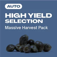 High Yield Kollektion Auto - Seeds Pack: 18-samen