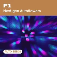 F1 AUTO - Seeds Pack: 9-samen