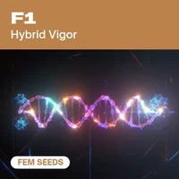 F1 FEM - Seeds Pack: 9-samen