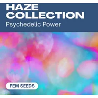 Haze-Kollektion - Seeds Pack: 18-samen