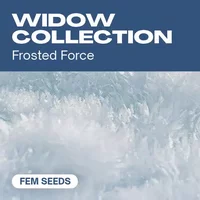 Widow-Kollektion - Seeds Pack: 18-samen