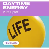 Daytime Energy - Seeds Pack: 18-samen