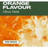 Orangengeschmack - Seeds Pack: 18-samen