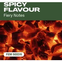 Würziger Geschmack - Seeds Pack: 18-samen