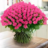 200 Pink Roses