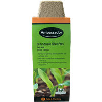 Ambassador Square Fibre Pots ABP20A