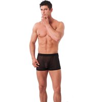 Public Enemy - Black Sheer Shorts