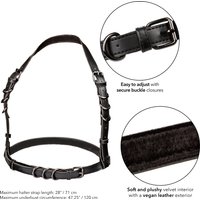 Euphoria Collection Plus Size Halter Buckle Harness - Black