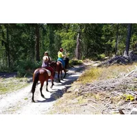 Private Horse Riding Tour To the Perelik Top in Smolyan