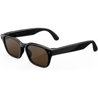 META Adventurer AI Glasses - Classic Black with Brown Lenses, Large