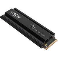 CRUCIAL P310 M.2 2280 Internal SSD with Heatsink - 1 TB