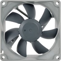 NOCTUA NF-R8 REDUX 80 mm Case Fan