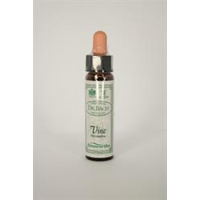 Dr Bach Vine Bach Flower Remedy