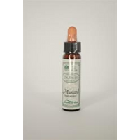 Dr Bach Mustard Bach Flower Remedy
