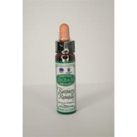 Dr Bach Bach Recovery Remedy