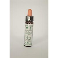 Dr Bach Cherry Plum Bach Flower Remedy