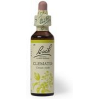 Bach Original Flower Remedies Bach Original Flower Remedies Clematis 20ml