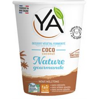 YA YA Coconut Plain Dessert 400g