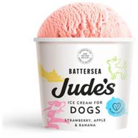 Judes Ice Cream Jude's Ice Cream for Dogs 90ml