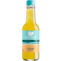 Jurassic Drinks Jurassic Drinks Pure Orange Juice 250ml