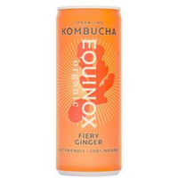 Equinox Kombucha Organic Kombucha Soft Drink with Ginger 250ml can