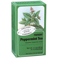 Floradix Peppermint Organic Herbal Tea 15 filterbags