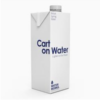 Water Works Carton Water 1Ltr - Lighter on the Planet